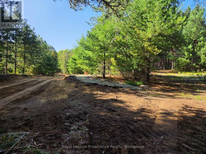 292 HARTIN ROAD, Addington Highlands (Addington Highlands), Ontario, K0H2G0