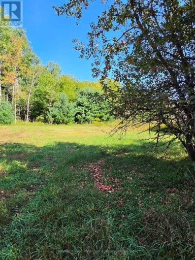 292 HARTIN ROAD, Addington Highlands (Addington Highlands), Ontario, K0H2G0