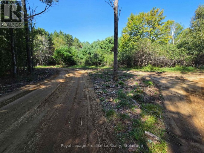 292 HARTIN ROAD, Addington Highlands (Addington Highlands), Ontario, K0H2G0