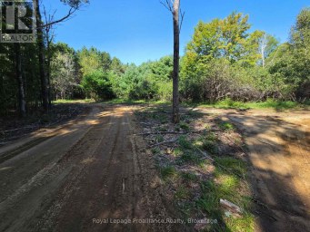292 HARTIN ROAD Addington Highlands (Addington Highlands) Ontario photo 36