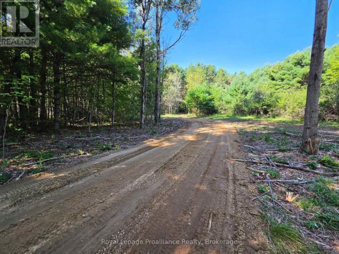 292 HARTIN ROAD, Addington Highlands (Addington Highlands), Ontario, K0H2G0