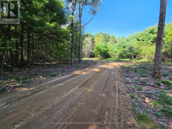 292 HARTIN ROAD Addington Highlands (Addington Highlands) Ontario photo 38