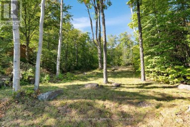 2612 WILKINSON ROAD Dysart et al (Havelock) Ontario photo 11