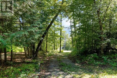 2612 WILKINSON ROAD Dysart et al (Havelock) Ontario photo 3