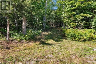 2612 WILKINSON ROAD Dysart et al (Havelock) Ontario photo 4
