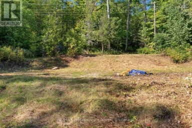 2612 WILKINSON ROAD Dysart et al (Havelock) Ontario photo 6