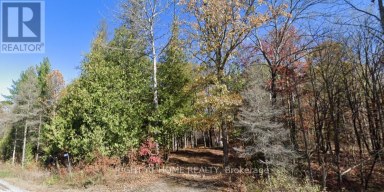 93 MCCLEARY ROAD Marmora and Lake (Marmora Ward) Ontario photo 1