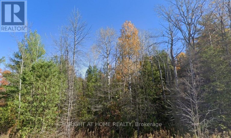 93 MCCLEARY ROAD, Marmora and Lake (Marmora Ward), Ontario, K0K2M0