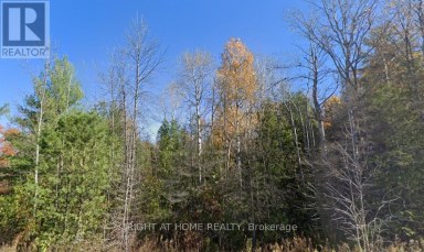 93 MCCLEARY ROAD Marmora and Lake (Marmora Ward) Ontario photo 2