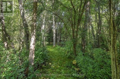 630 ENGLISH SETTLEMENT ROAD Quinte West (Murray Ward) Ontario photo 48
