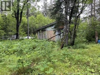 897 Porter Cove Road Upper Miramichi New Brunswick photo 4