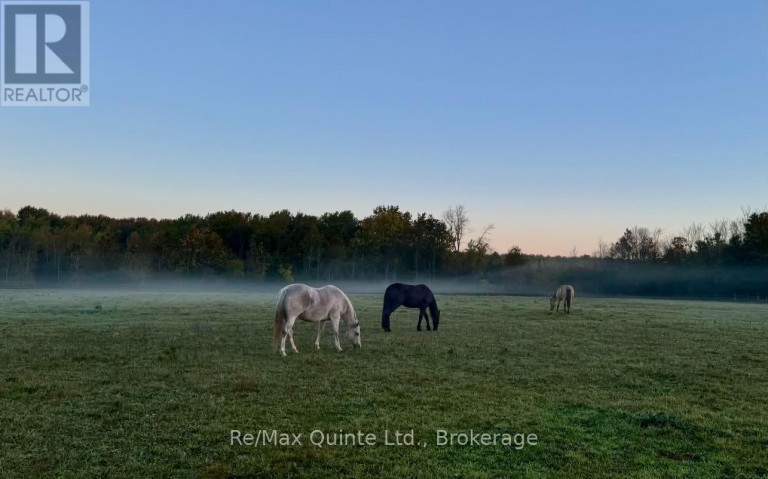 794 ENGLISH SETTLEMENT ROAD, Quinte West (Murray Ward), Ontario, K8V5P7