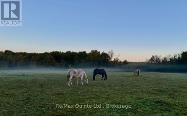 794 English Settlement Road, Quinte West (murray Ward) Ontario