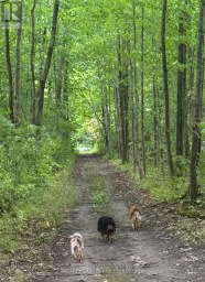 794 English Settlement Road, Quinte West (murray Ward) Ontario