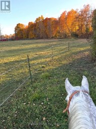 794 English Settlement Road, Quinte West (murray Ward) Ontario
