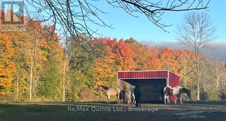 794 ENGLISH SETTLEMENT ROAD, Quinte West (Murray Ward), Ontario, K8V5P7