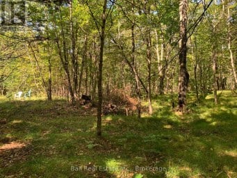 0 OLD HASTINGS ROAD Wollaston Ontario photo 15