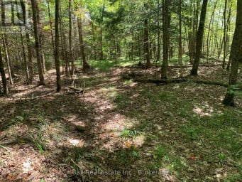 0 OLD HASTINGS ROAD Wollaston Ontario photo 18