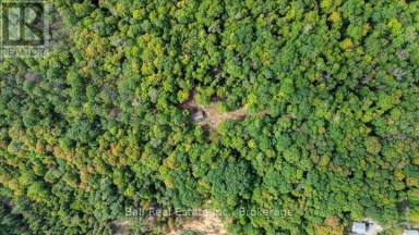 0 OLD HASTINGS ROAD Wollaston Ontario photo 4