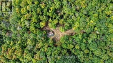 0 OLD HASTINGS ROAD Wollaston Ontario photo 5
