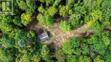 0 OLD HASTINGS ROAD Wollaston Ontario photo 6