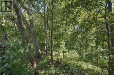 36 PARKVIEW HEIGHTS Quinte West (Trenton Ward) Ontario photo 50