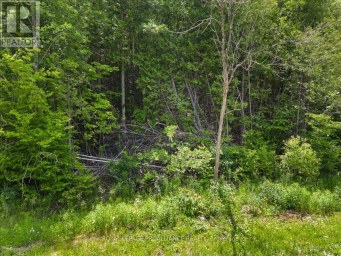 0 MARLBANK RD Tweed (Hungerford (Twp)) Ontario photo 3