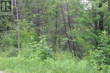 0 MARLBANK RD Tweed (Hungerford (Twp)) Ontario photo 5