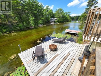 3402 ISLAND 340 Trent Lakes Ontario photo 10