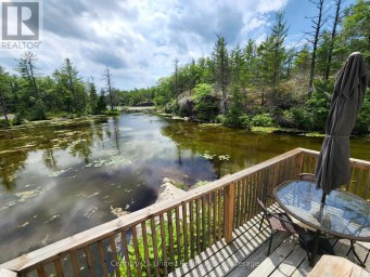 3402 ISLAND 340 Trent Lakes Ontario photo 13