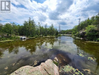 3402 ISLAND 340 Trent Lakes Ontario photo 14