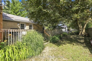 255 WATERLOO STREET Wellington North (Mount Forest) Ontario photo 36
