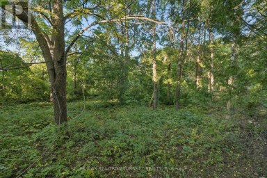 105 BOLTON AVENUE Newmarket (Huron Heights-Leslie Valley) Ontario photo 27