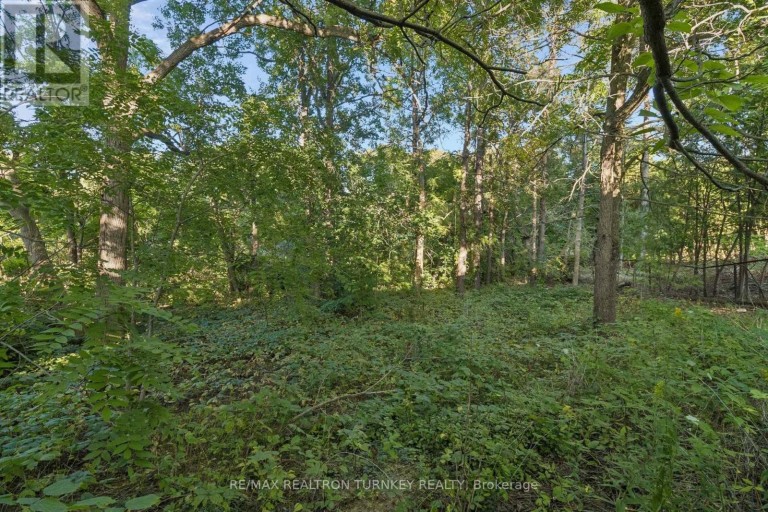 105 BOLTON AVENUE, Newmarket (Huron Heights-Leslie Valley), Ontario, L3Y2X3