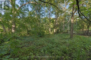 105 BOLTON AVENUE Newmarket (Huron Heights-Leslie Valley) Ontario photo 5