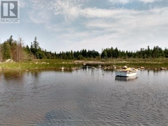 LOT 17 FORBES ROAD Northern Bruce Peninsula Ontario photo 10