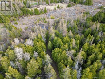 LOT 17 FORBES ROAD Northern Bruce Peninsula Ontario photo 4
