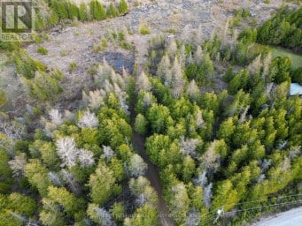 LOT 17 FORBES ROAD Northern Bruce Peninsula Ontario photo 5