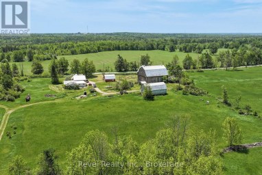 203 SOMERVILLE CONCESSION 5 ROAD Kawartha Lakes (Somerville) Ontario photo 2