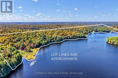 848 CLEARWATER LAKE ROAD Huntsville (Stephenson) Ontario photo 34