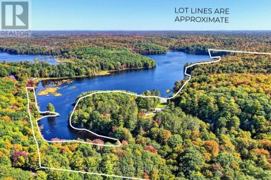 848 CLEARWATER LAKE ROAD Huntsville (Stephenson) Ontario photo 35