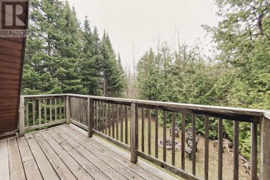 208554 26 HIGHWAY Blue Mountains Ontario photo 29