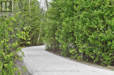 208554 26 HIGHWAY Blue Mountains Ontario photo 33