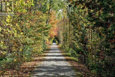 208554 26 HIGHWAY Blue Mountains Ontario photo 38