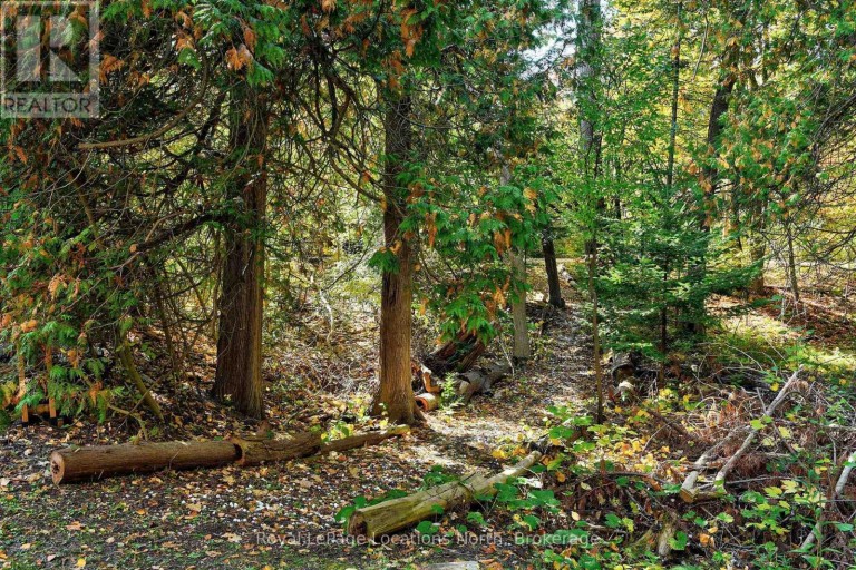 208554 26 HIGHWAY, Blue Mountains, Ontario, N0H1J0
