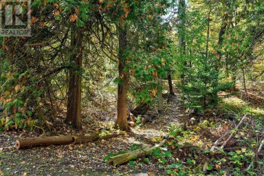 208554 26 HIGHWAY Blue Mountains Ontario photo 39