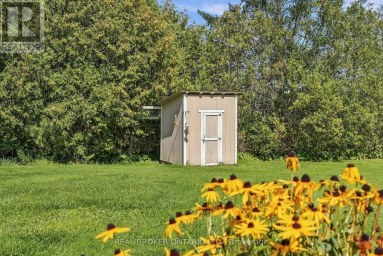 6 TEMPERANCE STREET Uxbridge Ontario photo 41