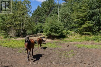 2322 OLD MUSKOKA ROAD Huntsville (Stephenson) Ontario photo 4
