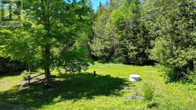 2523 OLD HASTINGS ROAD Limerick Ontario photo 45