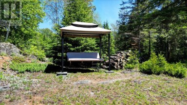2523 OLD HASTINGS ROAD Limerick Ontario photo 47